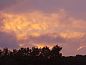 Guest house 286010 • Holiday property Rivierengebied • Vakantiehuisje in Wolfheze  • 13 of 15