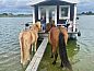 Guest house 287114 • Holiday property Rivierengebied • Vakantiehuis in Maasbommel  • 8 of 26