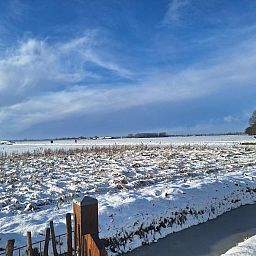 Unterkunft 287116 - Ferienhaus Rivierengebied - DG1711