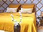 Guest house 287402 • Holiday property Rivierengebied • Huisje in Toldijk  • 10 of 26