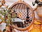 Guest house 287402 • Holiday property Rivierengebied • Huisje in Toldijk  • 13 of 26