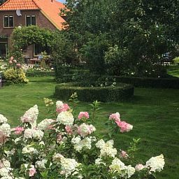 Verblijf 287407 - Vakantiewoning Rivierengebied - Vakantiehuis in Toldijk