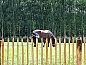 Verblijf 288801 • Vakantiewoning Rivierengebied • Vakantiehuis in Gameren  • 10 van 13