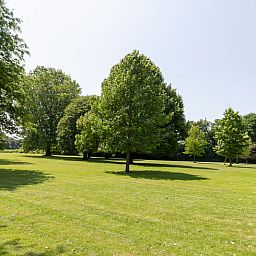 Unterkunft 288902 - Ferienhaus Rivierengebied - Huisje in Kerk-Avezaath