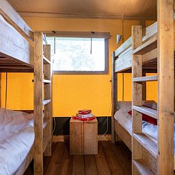 Guest house 289203 - Tent house Rivierengebied - Farmtent + Airco