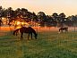 Guest house 290206 • Holiday property Achterhoek • Vakantiehuis in Barchem  • 12 of 21