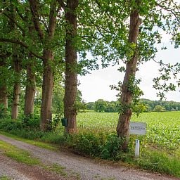 Unterkunft 290211 - Ferienhaus Achterhoek - Huisje in Barchem