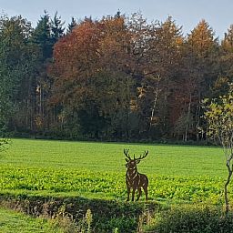 Guest house 290215 - Holiday property Achterhoek - Vakantiehuisje in Barchem