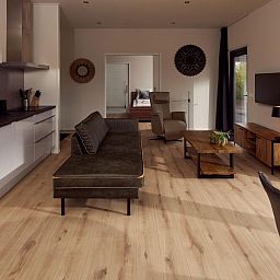 Verblijf 290403 - Vakantiewoning Achterhoek - Vakantievilla Amalia 2 rolstoelvriendelijk