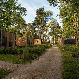 Vacation villa Boslodge 2 in Kotten, Achterhoek, vacation home surrounded by wooded nature and quiet hiking trails in Gelderland.