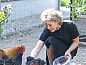 Unterkunft 290704 • Ferienhaus Achterhoek • Huisje in Halle  • 13 von 14