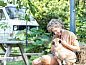 Unterkunft 290704 • Ferienhaus Achterhoek • Huisje in Halle  • 14 von 14