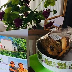 Unterkunft 290706 - Ferienhaus Achterhoek - Huisje in Halle