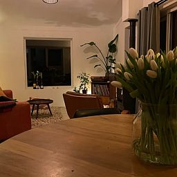 Guest house 290711 - Holiday property Achterhoek - Huisje in Halle