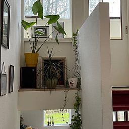 Guest house 290711 - Holiday property Achterhoek - Huisje in Halle