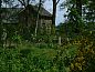 Verblijf 290715 • Vakantiewoning Achterhoek • Vakantiehuisje in Halle  • 3 van 26
