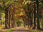Guest house 290728 • Holiday property Achterhoek • Zeer luxe 6 persoons vakantiehuis met sauna nabij Halle  • 12 of 26