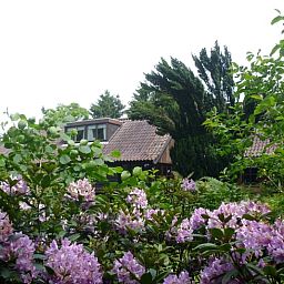 Verblijf 291052 - Vakantiewoning Achterhoek - Vakantiehuisje in Zelhem