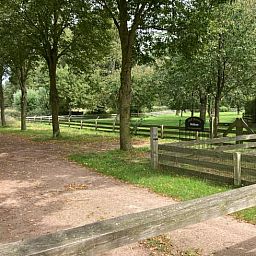 Unterkunft 291054 - Ferienhaus Achterhoek - Vakantiehuis in Zelhem