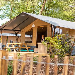 Unterkunft 291059 - Zelthaus Achterhoek - Luxe safaritent + sanitair