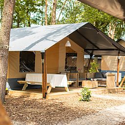 Unterkunft 291059 - Zelthaus Achterhoek - Luxe safaritent + sanitair