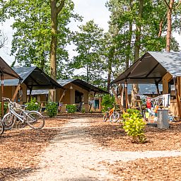 Unterkunft 291059 - Zelthaus Achterhoek - Luxe safaritent + sanitair