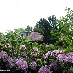 Verblijf 291065 - Vakantiewoning Achterhoek - Baaksekamp