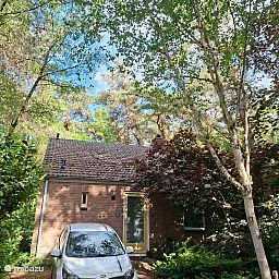 Unterkunft 291089 - Ferienhaus Achterhoek - Huisjebloemenhart