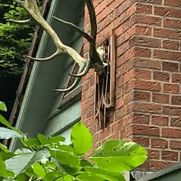 Verblijf 291115 - Vakantiewoning Achterhoek - Huisje in Epse