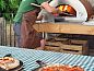 Guest house 291230 • Holiday property Achterhoek • Vakantiehuisje in Ruurlo  • 7 of 26