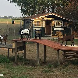 Unterkunft 291241 - Ferienhaus Achterhoek - 't Pothuus 2P huis in de Achterhoek