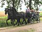 Guest house 291315 • Holiday property Achterhoek • Comfortabel 4 persoons vakantie appartement in de Gelderse  • 13 of 19