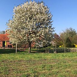 Guest house 291406 - Holiday property Achterhoek - Vakantiehuis in Varsseveld