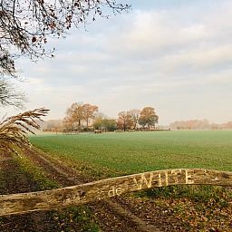 Unterkunft 291506 - Ferienhaus Achterhoek - Vakantiehuis in Eefde