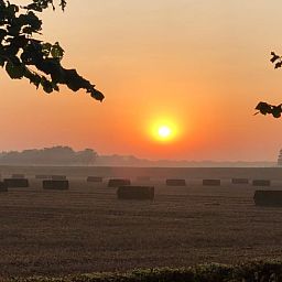Unterkunft 291506 - Ferienhaus Achterhoek - Vakantiehuis in Eefde
