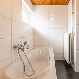 Geiten in de groene omgeving van vakantiehuis DG470 in Aalten, Achterhoek