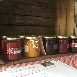 Kinderen spelen in een houten wagen bij DG471, vakantiehuis in de Achterhoek, omgeven door natuur.