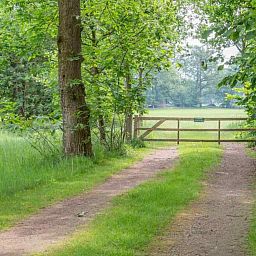 Guest house 291731 - Holiday property Achterhoek - DG696