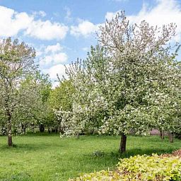 Schlafzimmer mit Holzbalken im Ferienhaus DG694, Aalten, Gelderland.