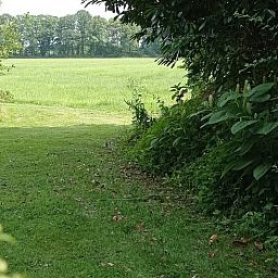 Enjoy the green views surrounding Huisje in Aalten, a vacation home in Aalten, Achterhoek, Gelderland, surrounded by nature.