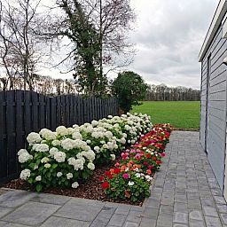 Unterkunft 291759 - Ferienhaus Achterhoek - DG2147