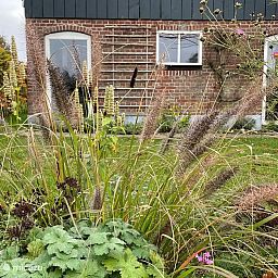 Verblijf 291768 - Vakantiewoning Achterhoek - Vakantiehuisje Het Poggenschot