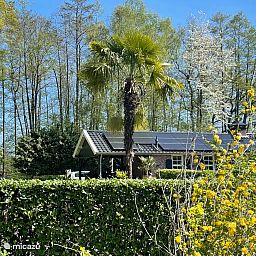 Verblijf 291771 - Vakantiewoning Achterhoek - Swaelvlei