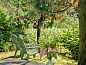 Guest house 291786 • Holiday property Achterhoek • Vakantiehuisje in Aalten  • 7 of 17