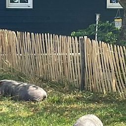 Cottage in Laren, Achterhoek with rural garden and sheep, ideal for nature lovers in Gelderland.