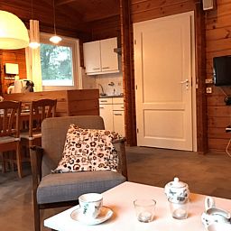 Knusse woonkamer van Vakantiehuisje in Hengelo, Achterhoek, met moderne voorzieningen.