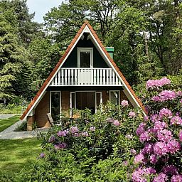 Ferienhaus in Harfsen, umgeben von bluehenden Rhododendren, Achterhoek, Gelderland.