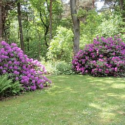 Schoener Garten des Ferienhauses in Harfsen mit bunten Blumen, Achterhoek, Gelderland.
