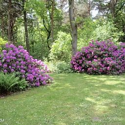 Verblijf 292348 - Bungalow Achterhoek - Heerlijk midden in de natuur! (102)