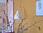 Guest house 293105 • Bed and Breakfast Achterhoek • Vakantiehuisje in Haarlo  • 12 of 24